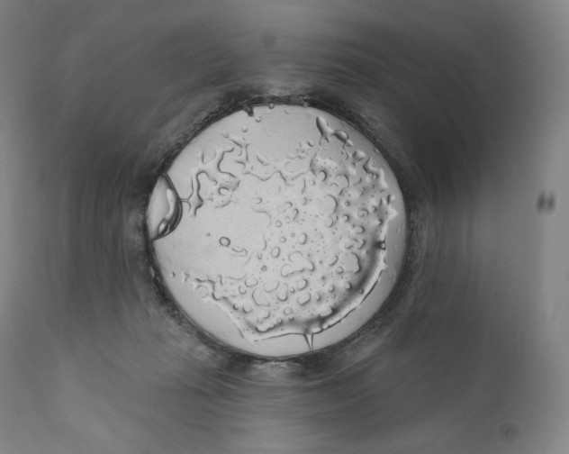 X0000110700269200907101228