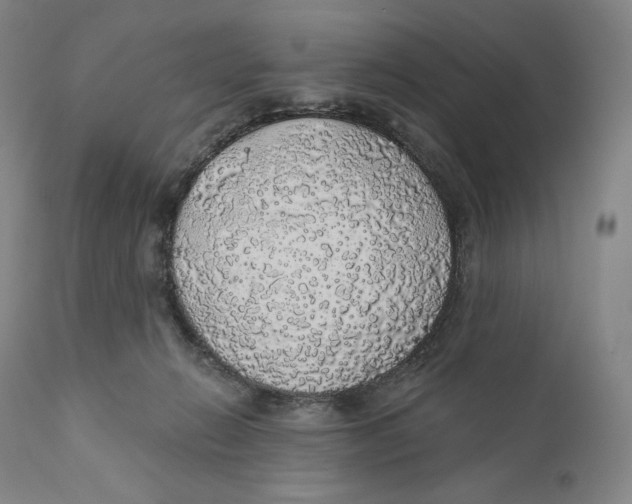 X0000110700270200907101228