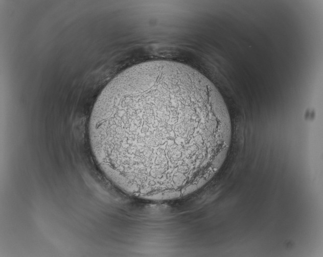 X0000110700271200907101228