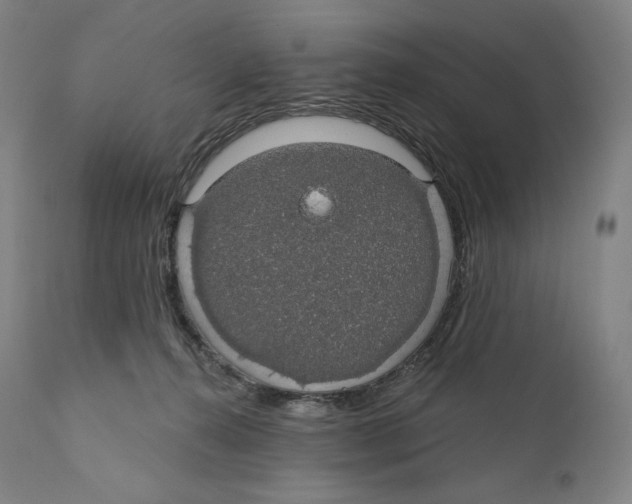 X0000110700272200907101228