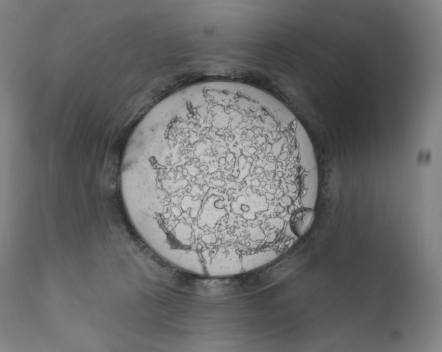 X0000110700273200907101228