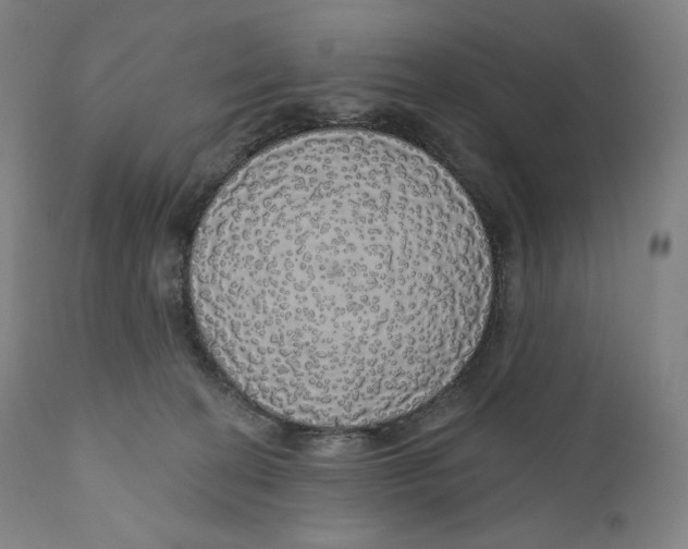 X0000110700274200907101228