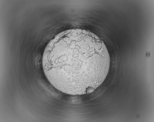 X0000110700275200907101228