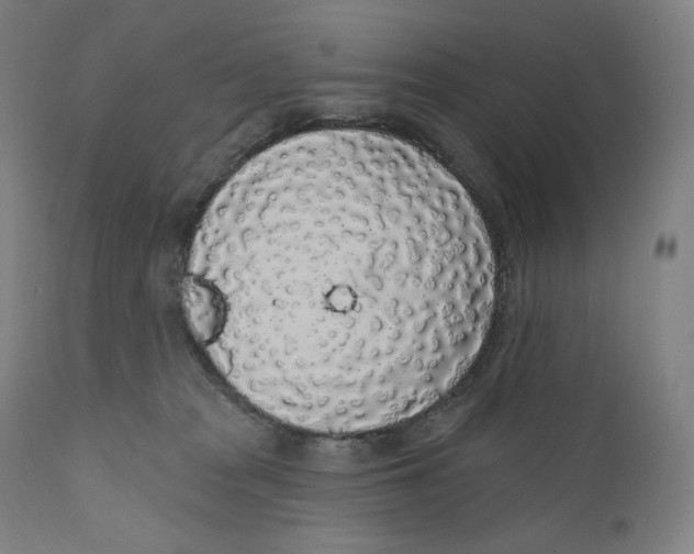 X0000110700277200907101228