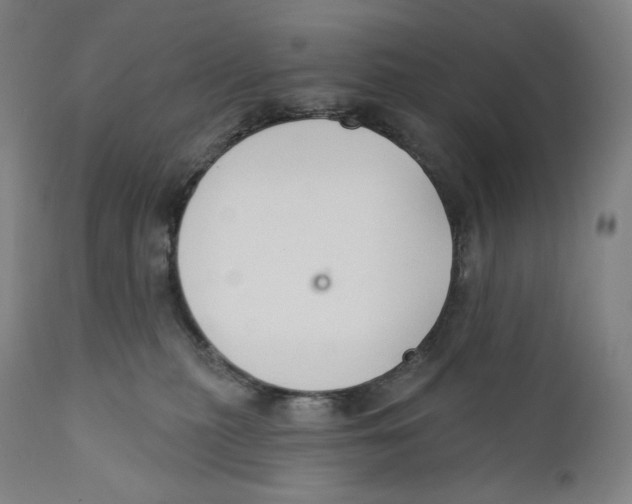 X0000110700279200907101228