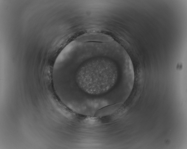 X0000110700280200907101228