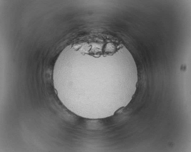 X0000110700281200907101228