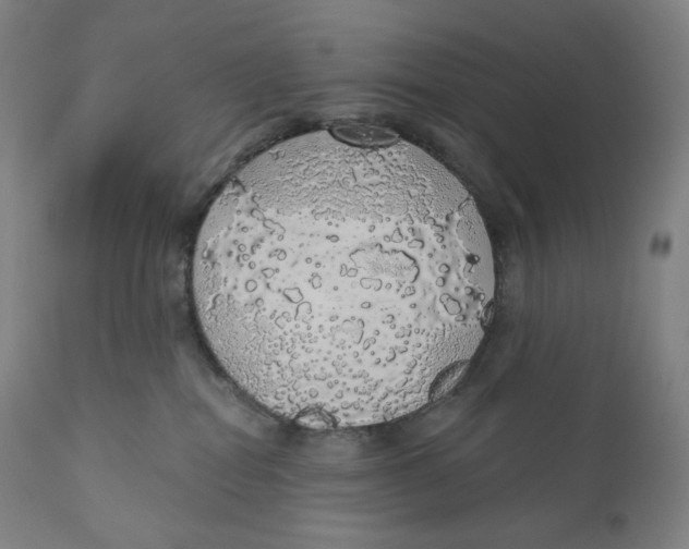 X0000110700282200907101228