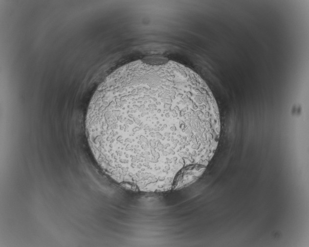 X0000110700283200907101228