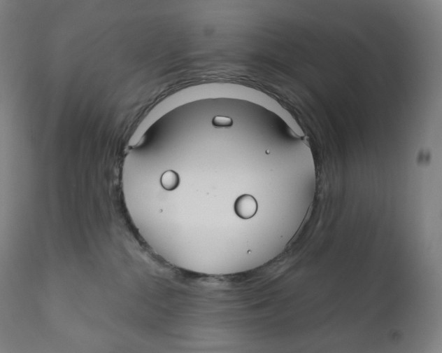 X0000110700284200907101228