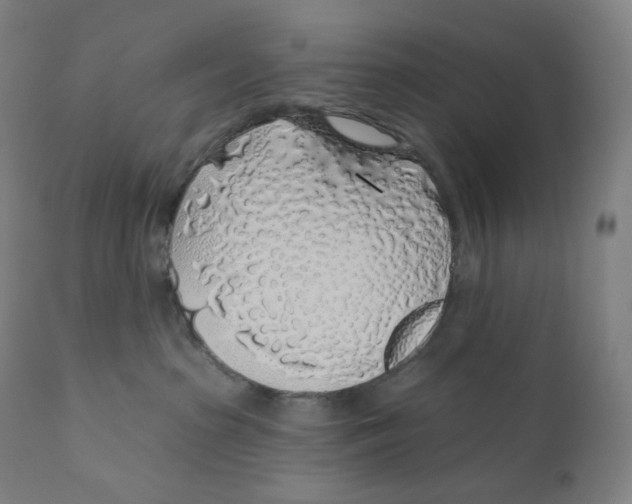 X0000110700285200907101228