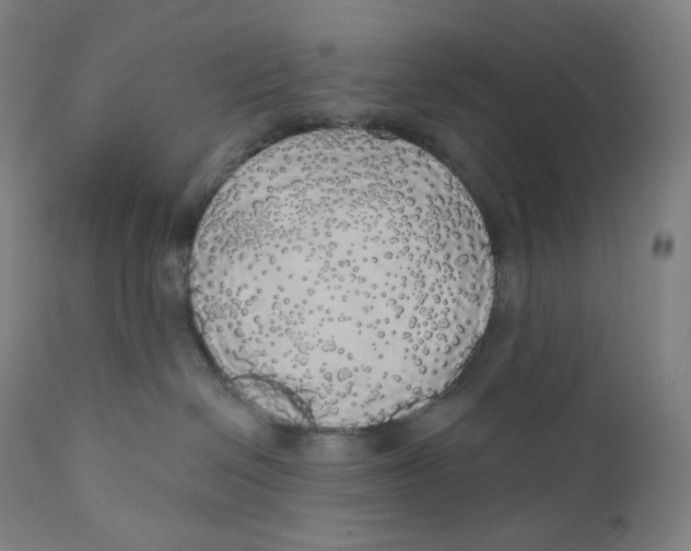 X0000110700286200907101228