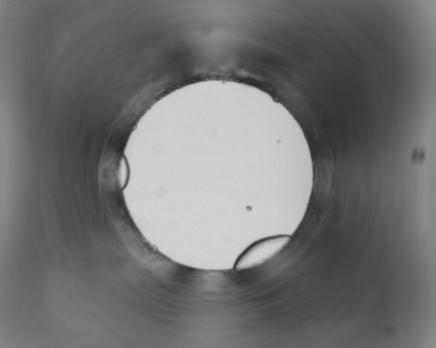 X0000110700287200907101228