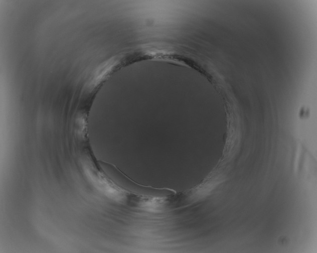 X0000110700288200907101228