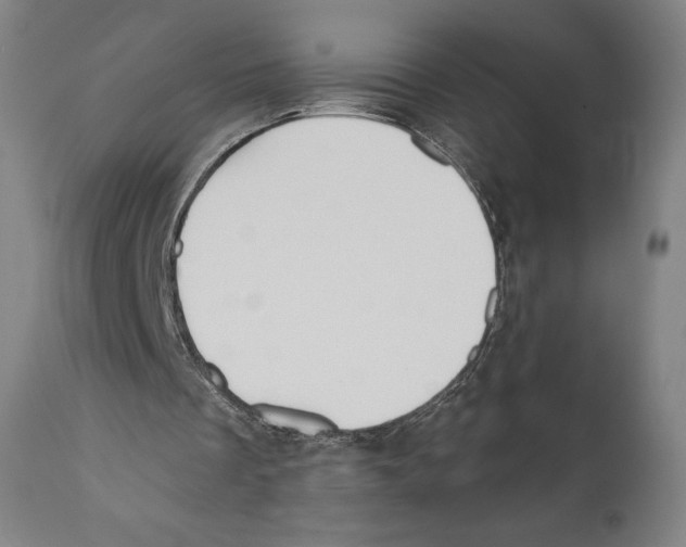 X0000110700289200907101227