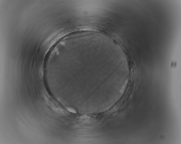 X0000110700290200907101227