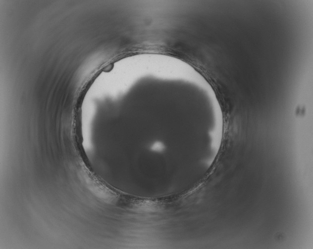 X0000110700293200907101227