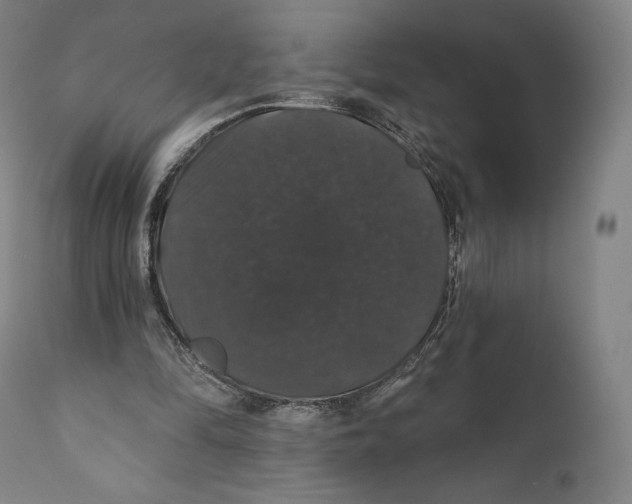 X0000110700294200907101227