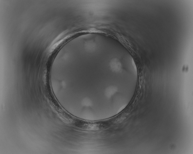 X0000110700295200907101227