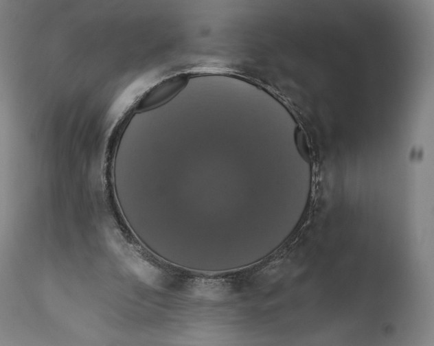 X0000110700296200907101227