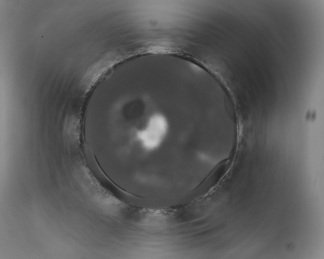 X0000110700297200907101227