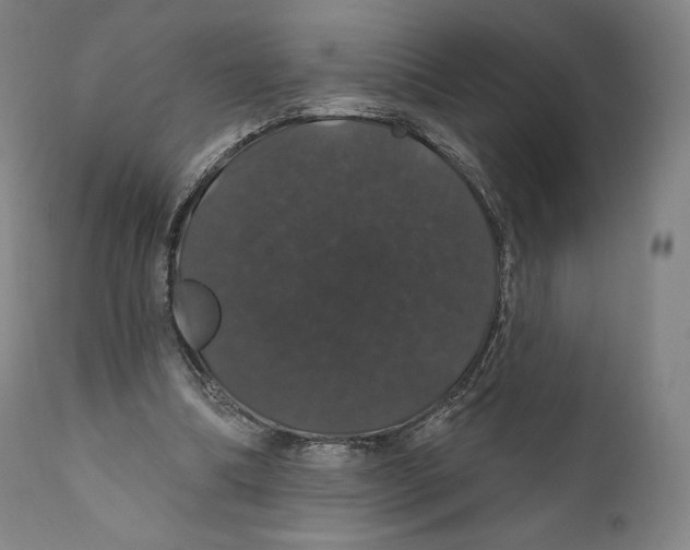 X0000110700298200907101227