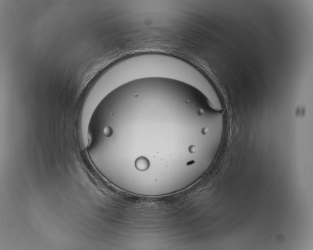 X0000110700299200907101227