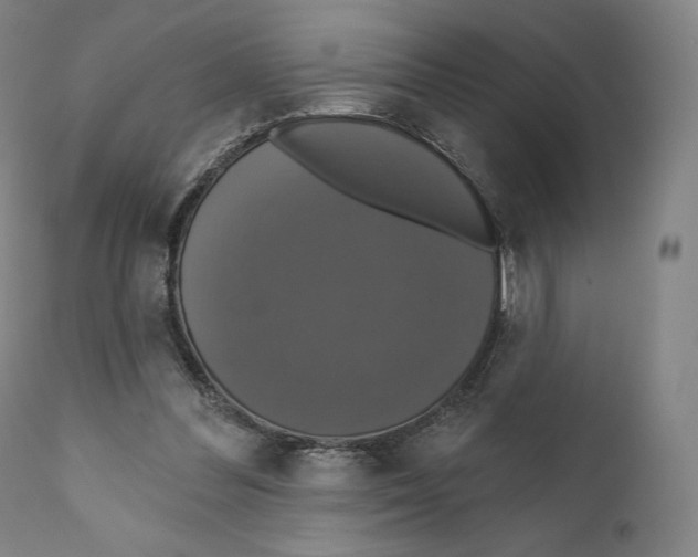 X0000110700300200907101227