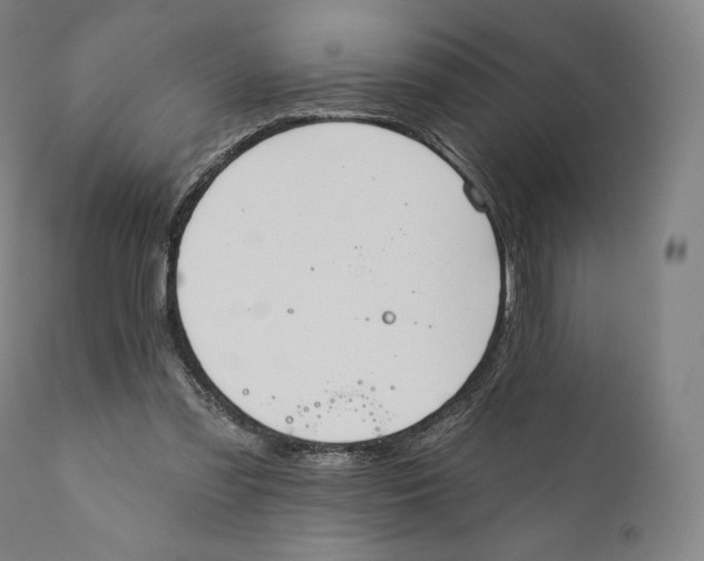 X0000110700301200907101227