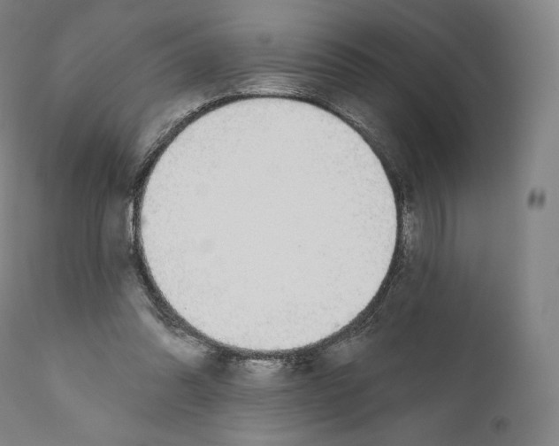 X0000110700302200907101227