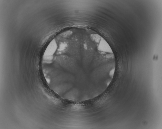 X0000110700303200907101227
