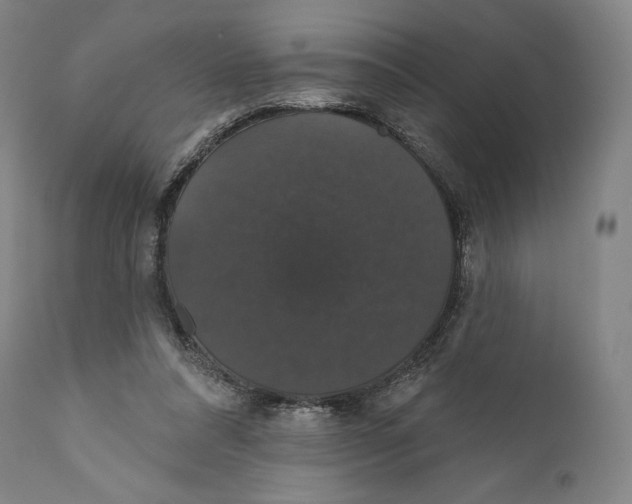 X0000110700304200907101227