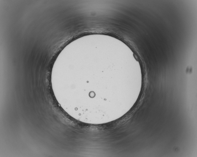 X0000110700305200907101227