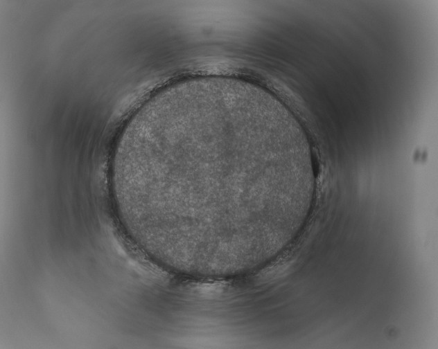 X0000110700306200907101227