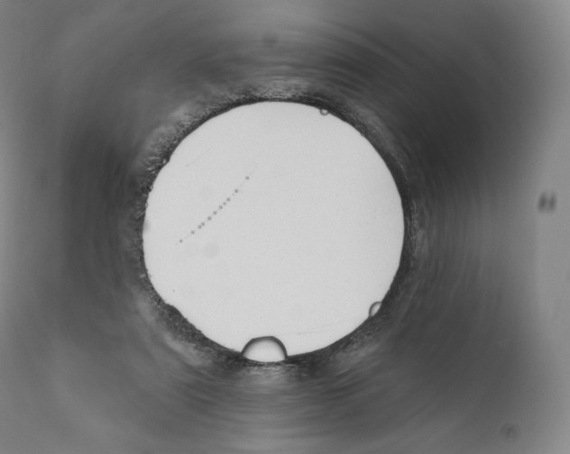 X0000110700307200907101227