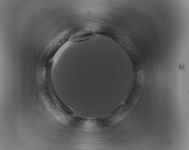 X0000110700308200907101227