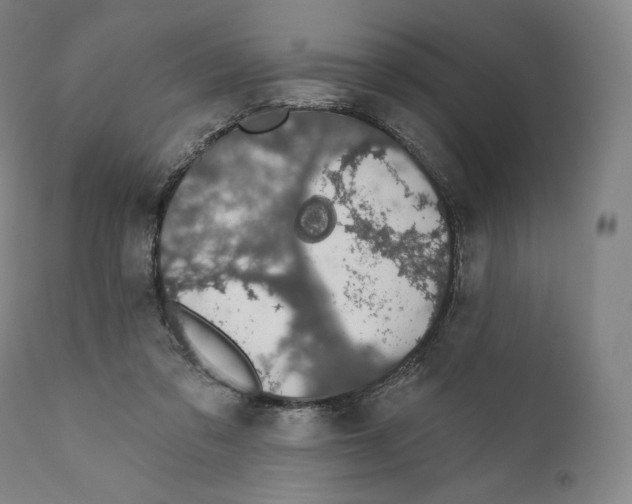 X0000110700309200907101227