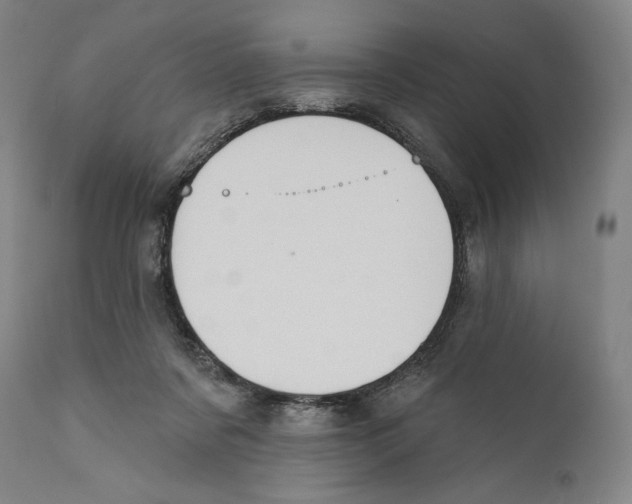 X0000110700311200907101227