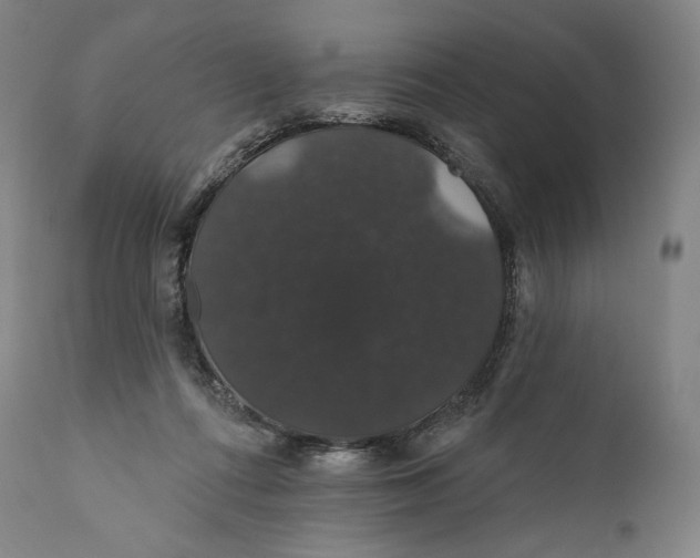 X0000110700312200907101227