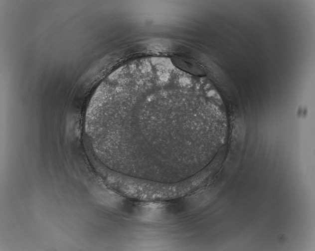 X0000110700313200907101227