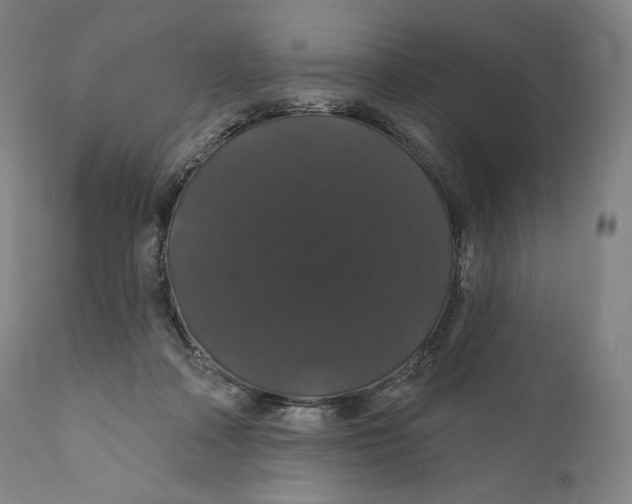 X0000110700314200907101227
