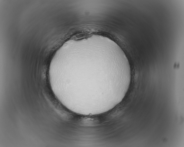 X0000110700315200907101227