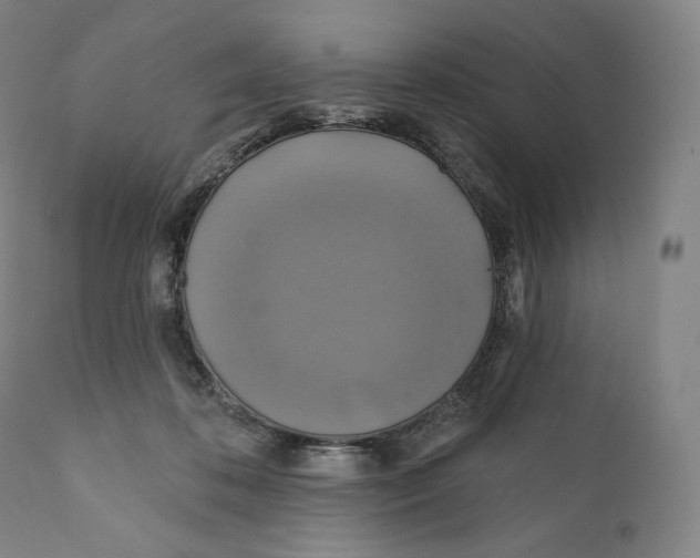 X0000110700316200907101227