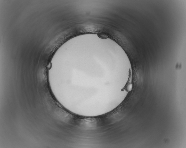 X0000110700317200907101227