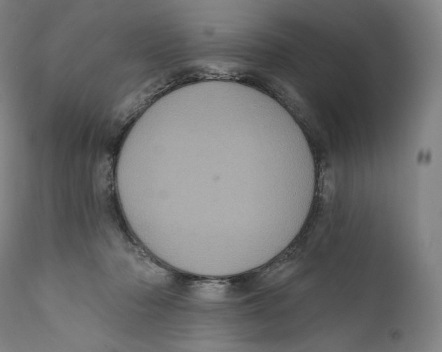 X0000110700318200907101227