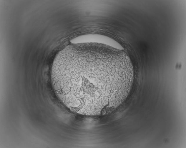 X0000110700319200907101227