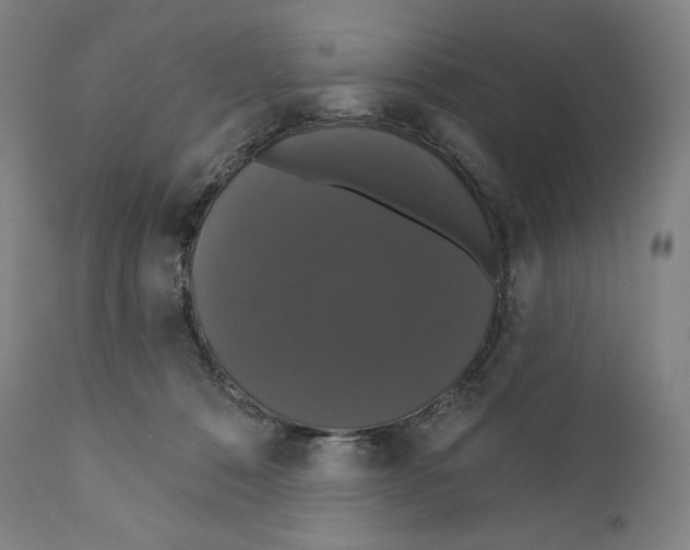 X0000110700320200907101227