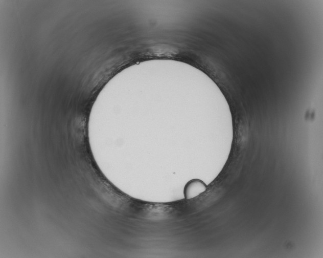 X0000110700321200907101227