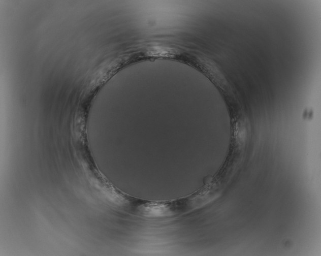 X0000110700322200907101227