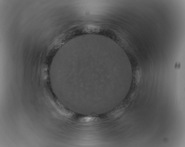 X0000110700323200907101227